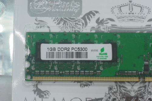DSCF0607.JPG