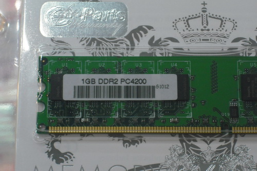 DSCF8029.JPG