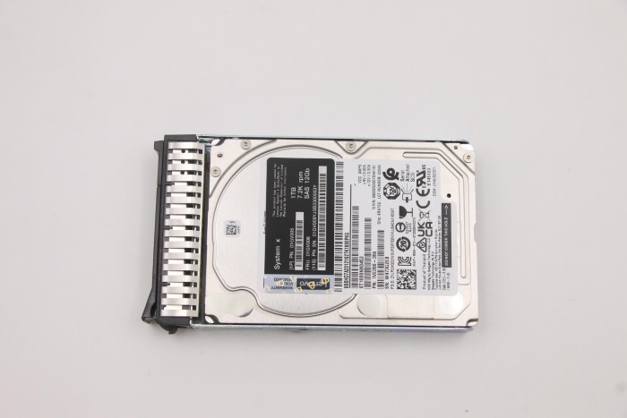 01GV006.jpg