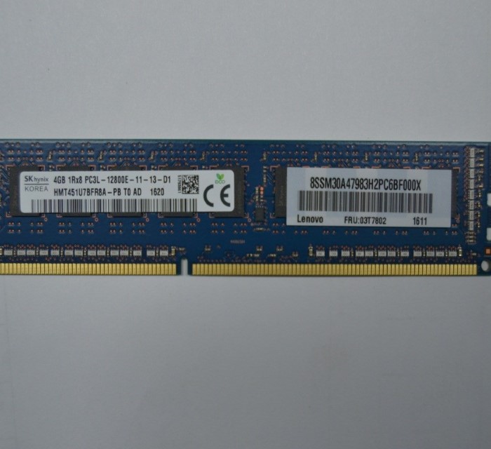 03T7802.jpg