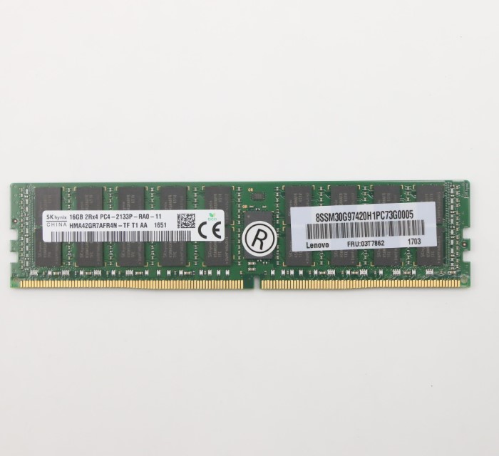03T7862.jpg