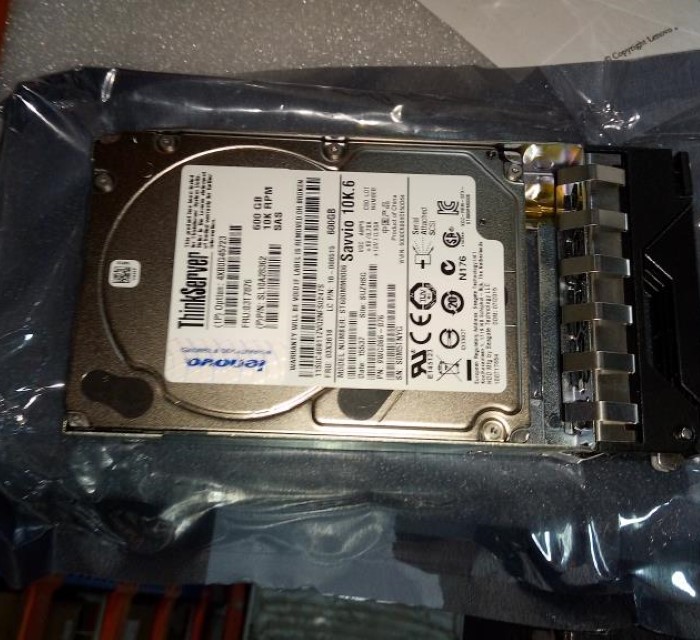 03T7876.jpg