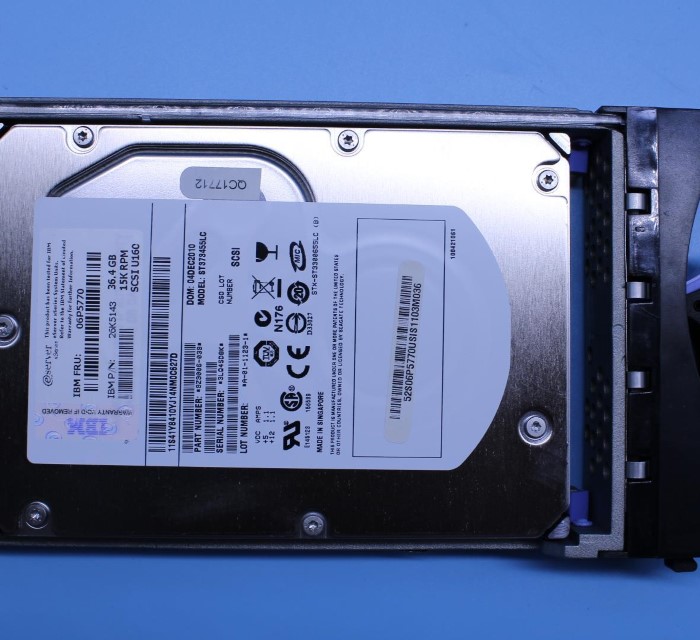 06P5770.jpg