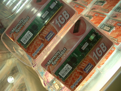 1G DDR2 533-Premium-02.JPG