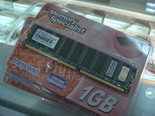 1GIB4051-01.JPG