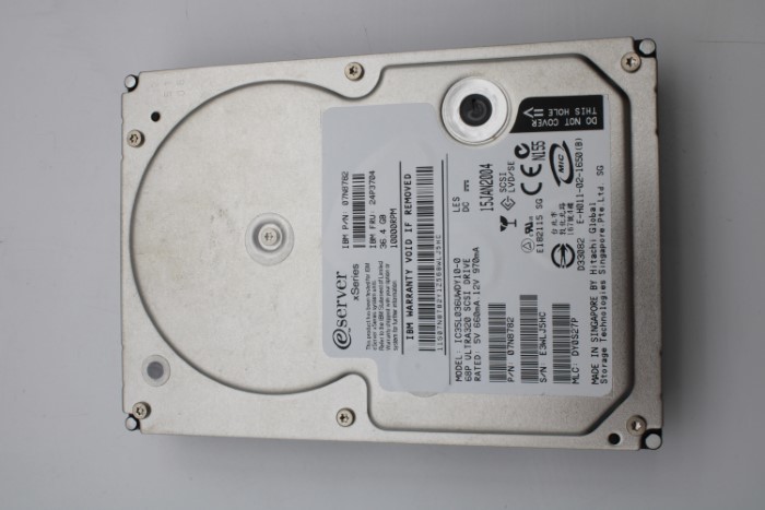 24P3704.jpg