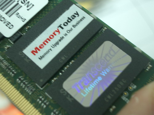 2G-8875.JPG