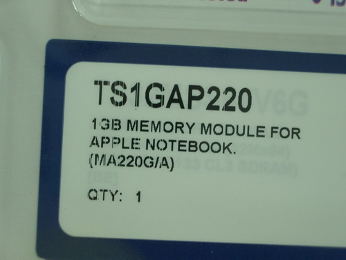 533-02.JPG
