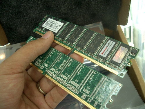 C-8444.JPG