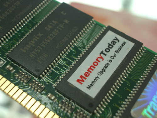 d-8480.JPG