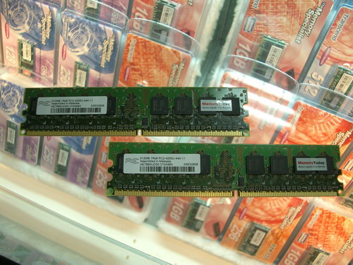 D2533-2.JPG