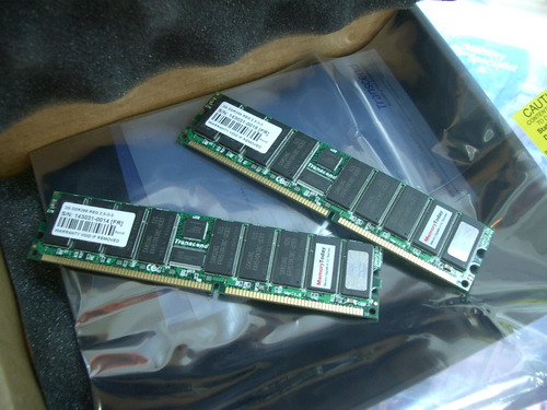 DELL-04.JPG
