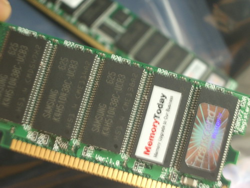 DELL-05.JPG