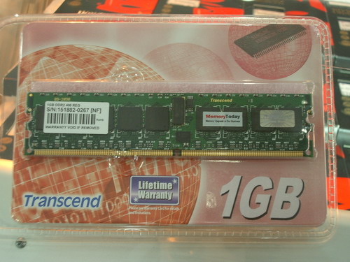 DL-7565.JPG