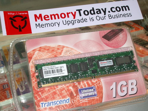DL-7567.JPG