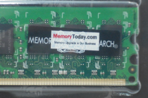DSCF0129.JPG