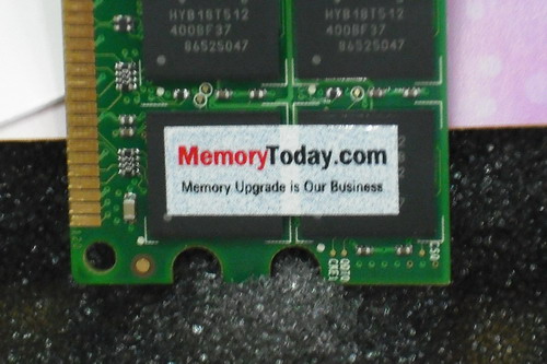 DSCF0220.JPG