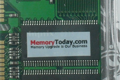 DSCF0330.JPG