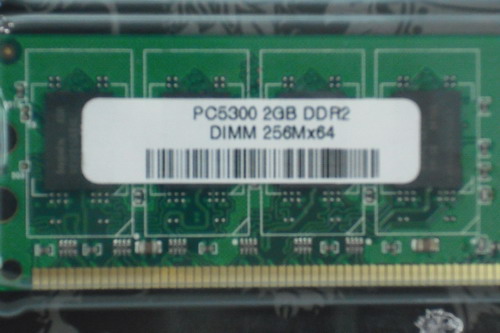 DSCF0335.JPG