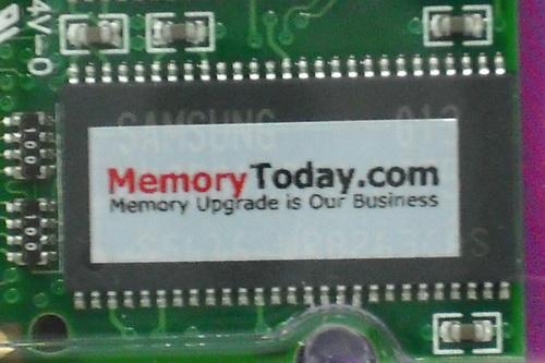 DSCF0347.JPG