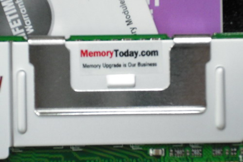 DSCF0485.JPG
