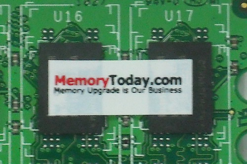 DSCF0525.JPG