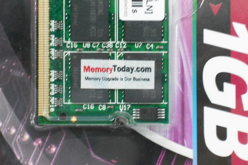 DSCF0532.JPG
