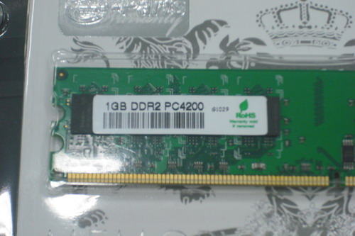 DSCF0700.JPG