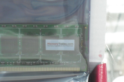 DSCF1029.JPG