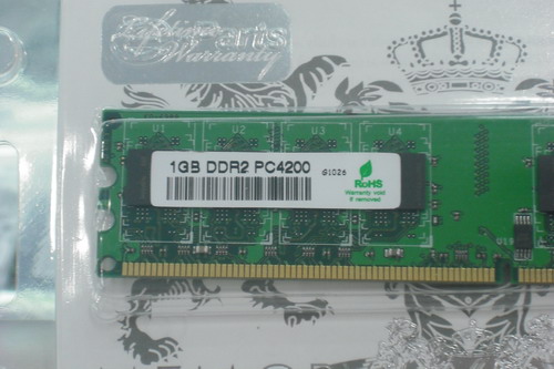 DSCF1065.JPG