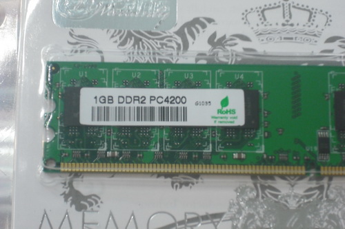 DSCF1146.JPG
