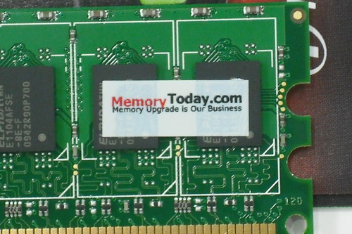 DSCF1203.JPG