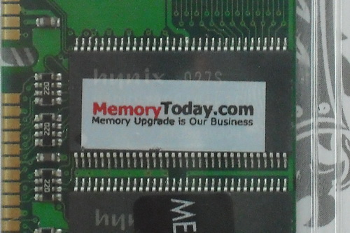 DSCF1274.JPG