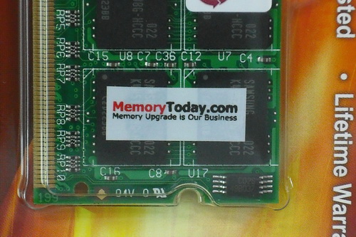 DSCF1351.JPG