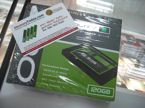 DSCF1445.JPG