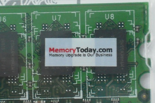 DSCF1513.JPG