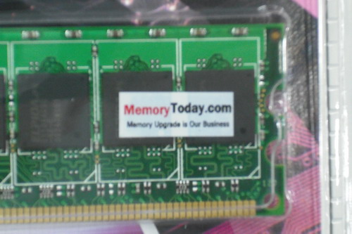 DSCF1531.JPG