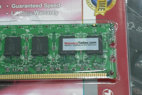 DSCF1555.JPG