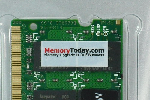 DSCF1582.JPG