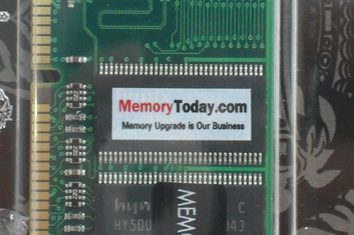 DSCF1595.JPG