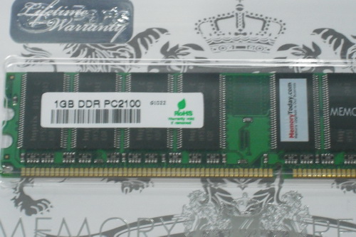 DSCF1804.JPG