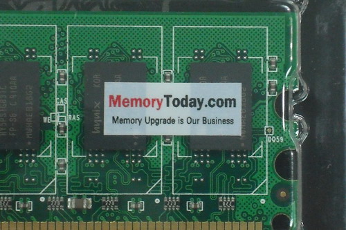DSCF2531.JPG
