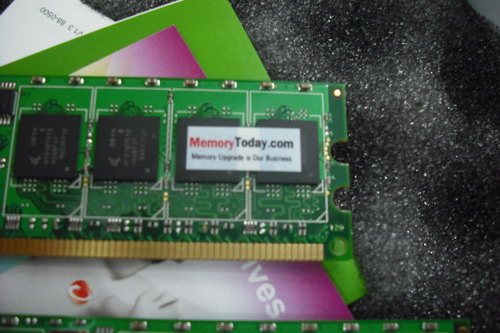 DSCF2561.JPG