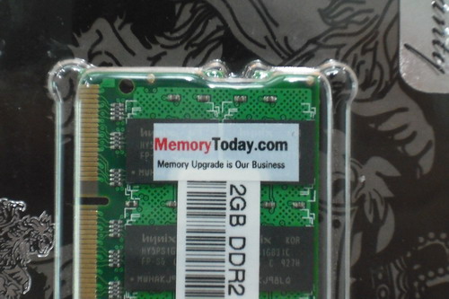 DSCF2784.JPG