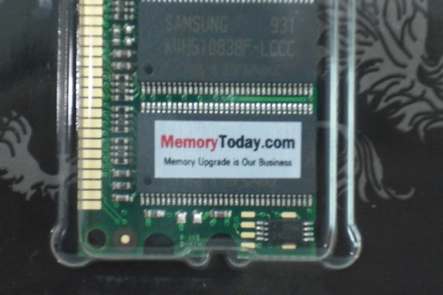 DSCF2825.JPG