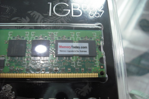 DSCF2859.JPG