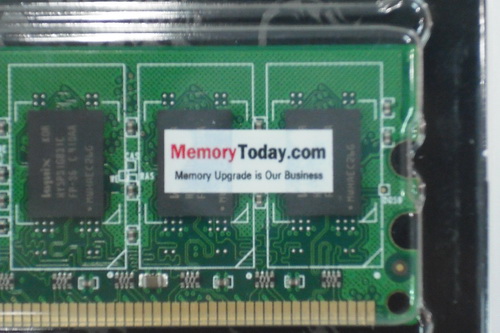 DSCF3335_resize.JPG