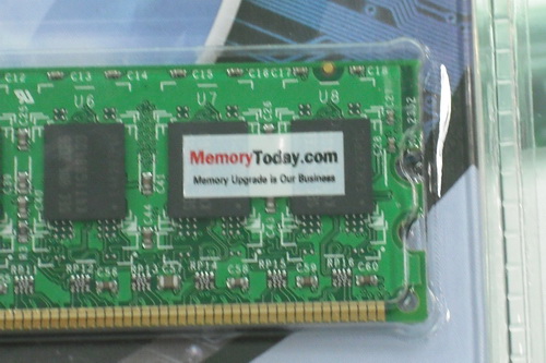 DSCF4095.JPG