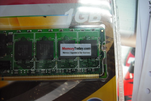 DSCF4486.JPG