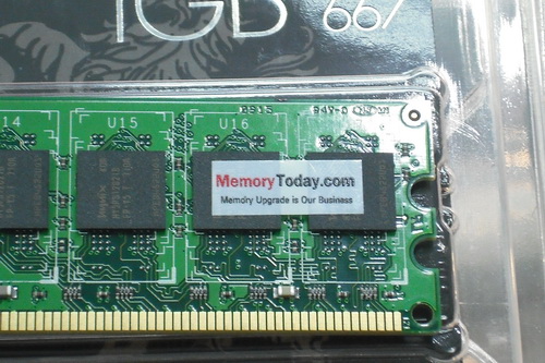 DSCF5283.JPG